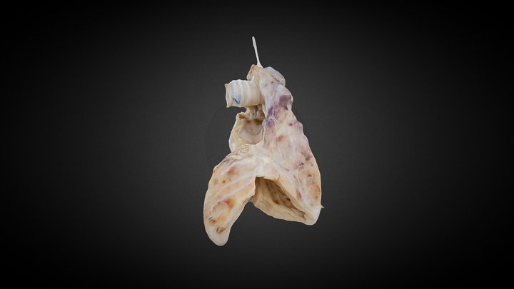 106 3D Model