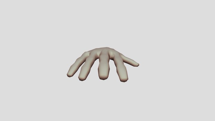 Hand 3D Model