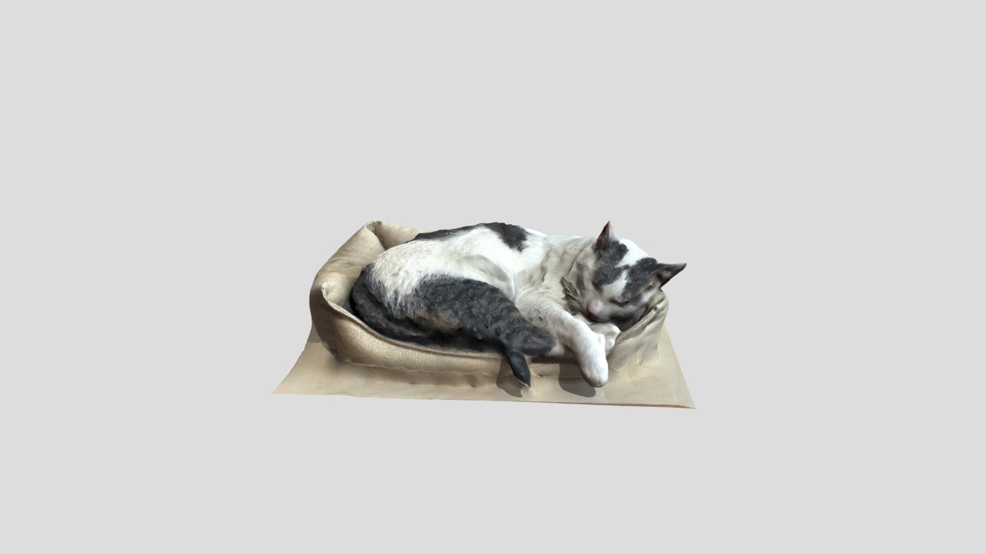 Sleeping Cat - Download Free 3D model by Marcio Moraes 3D e Design ...
