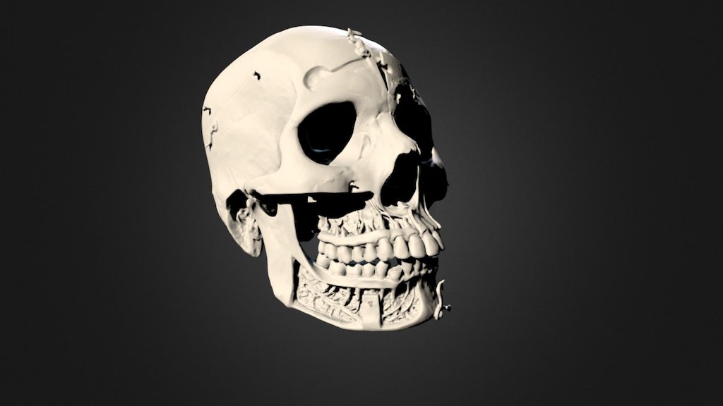 Skull (high detail)