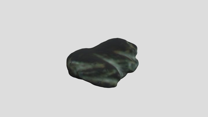 11.11.2022_Frog 3D Model