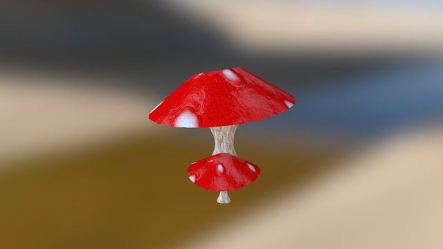 Mushrooms 3D Model