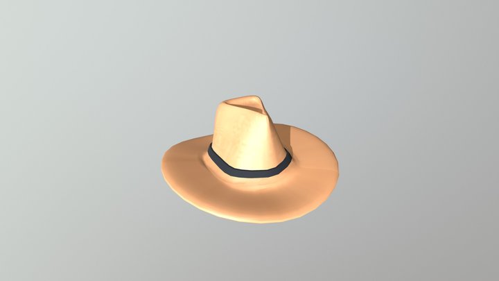 Hat 3D Model