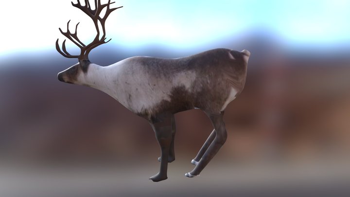 deer 3D Model