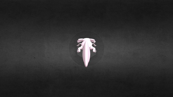 axolotl WIP 3D Model