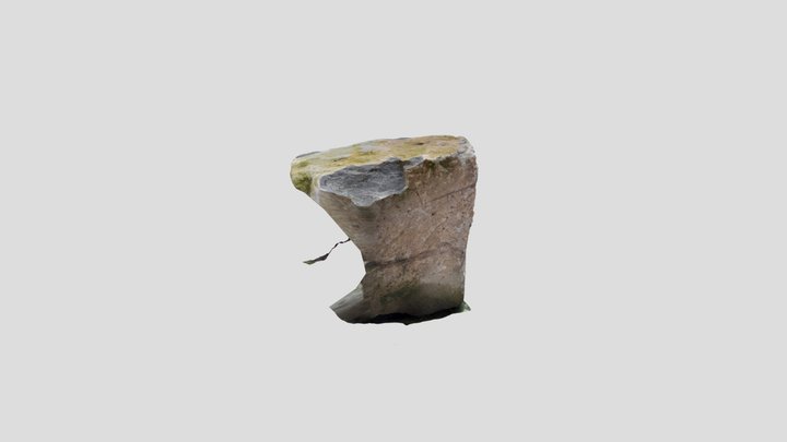 Otago Geology - Mounted rock in Quad - 1 closeup 3D Model