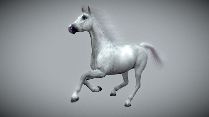 Arabian Horse 3D Model - Rigged and Animated 3D Model