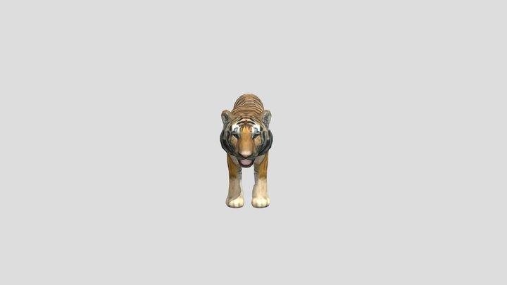 Tiger 3D Model