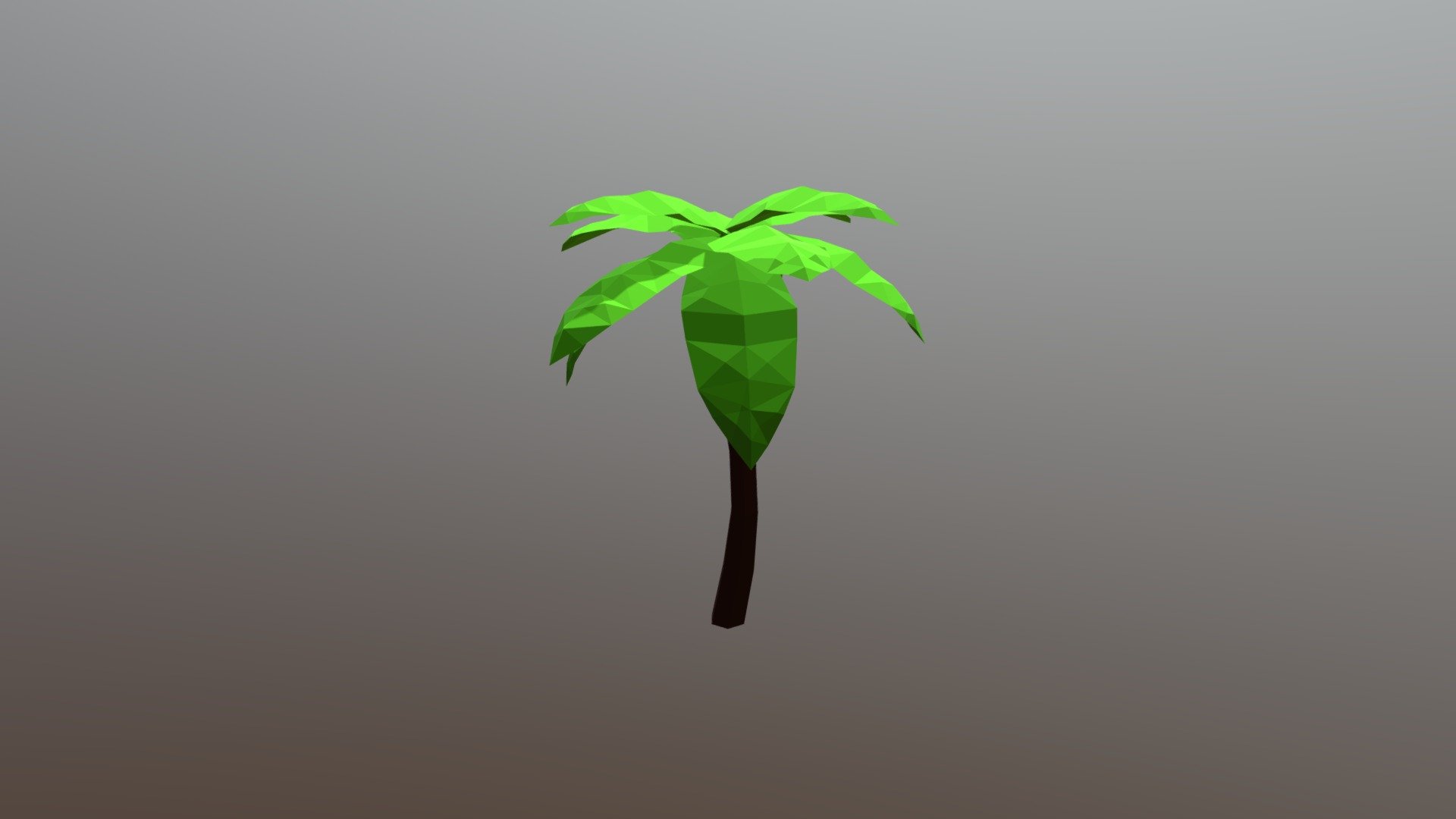 Tree Palm