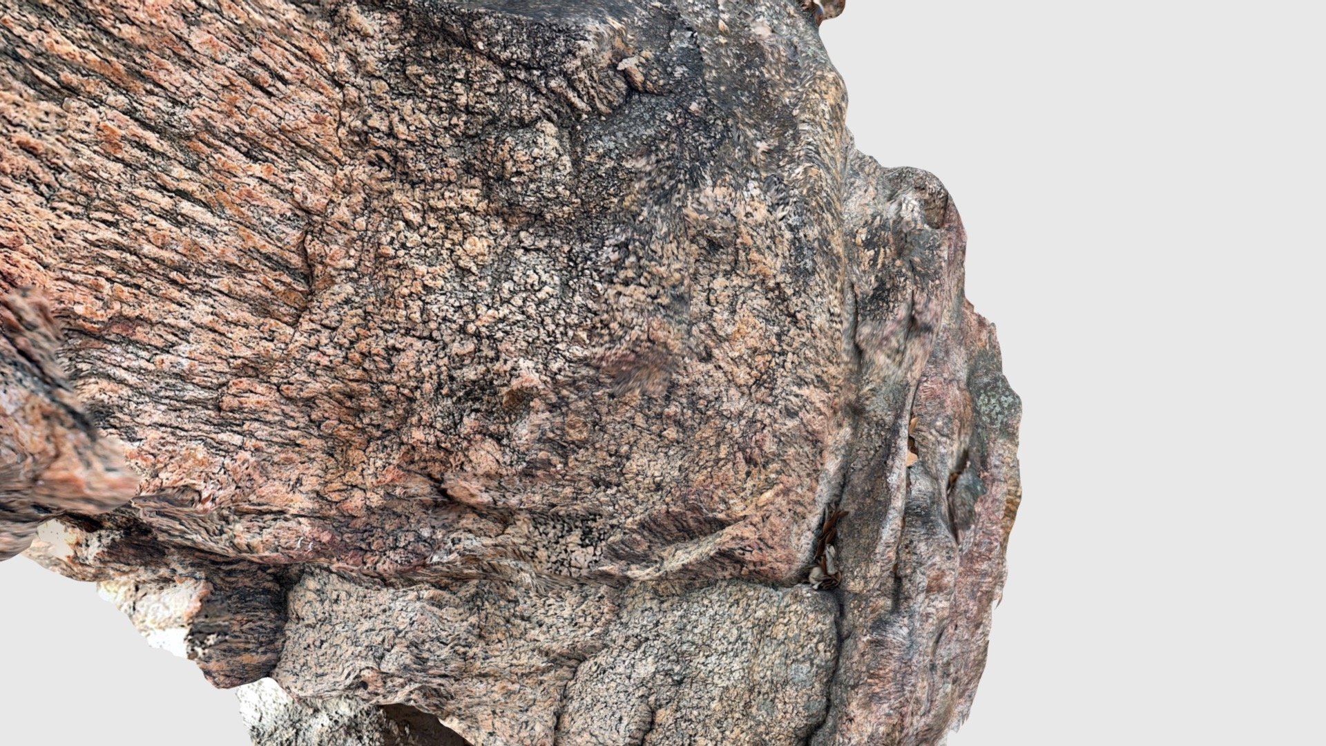 L-tectonite in Cannes migmatite (3) - Download Free 3D model by ...