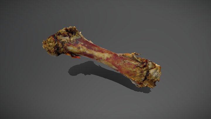 Week 3 Sample 1 Bone 3D Model