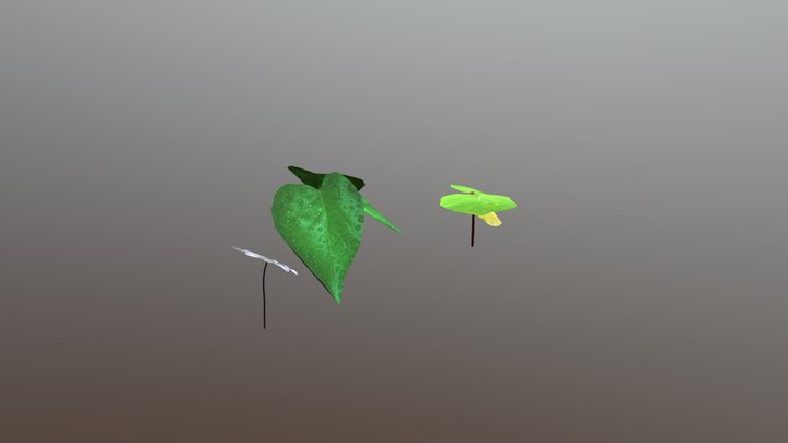 Basic Plants 3D Model