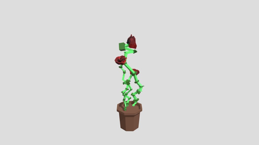 Potted Rose Plant Abstract