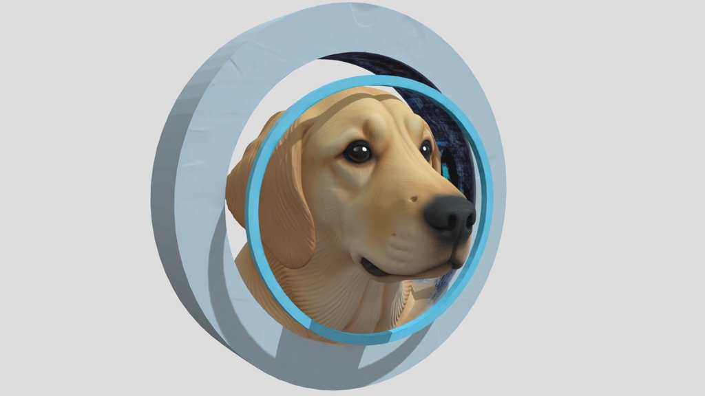 Dog 3d Model