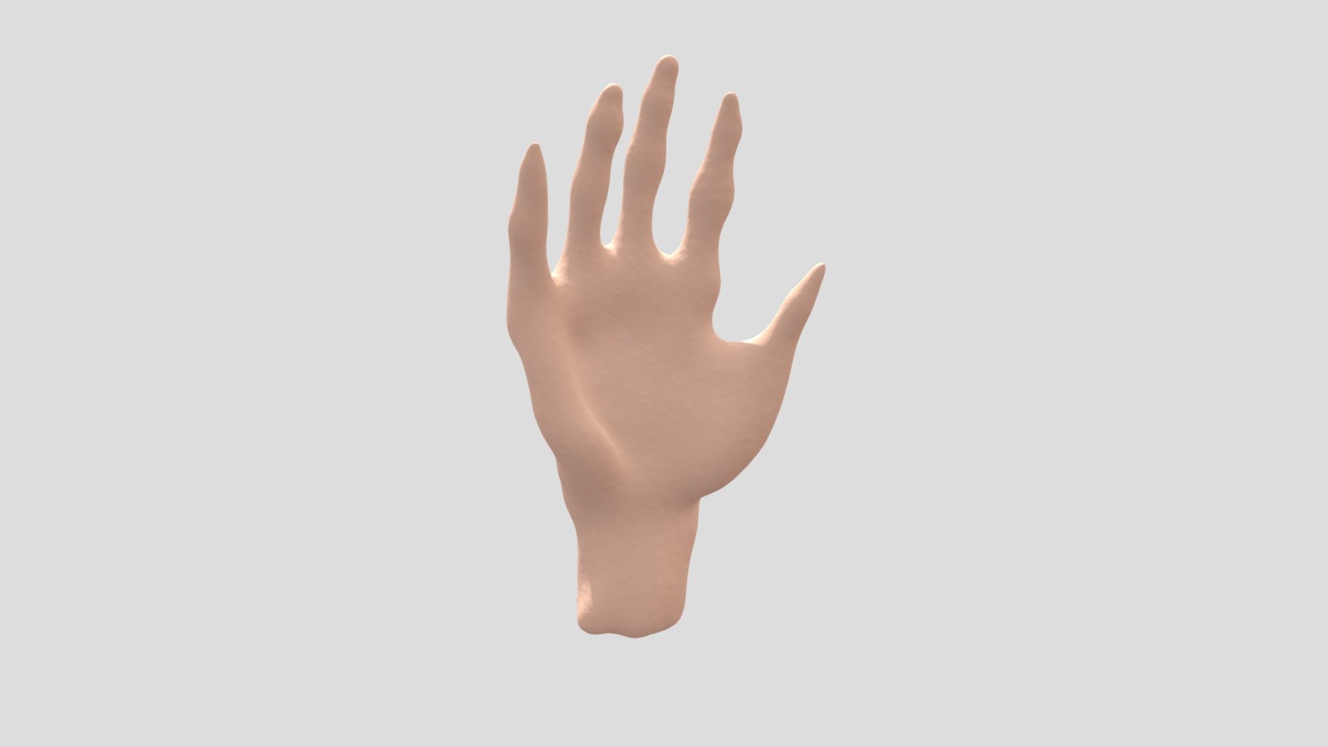 ZBrush Hand - Download Free 3D model by jackwiltshire [5572587] - Sketchfab