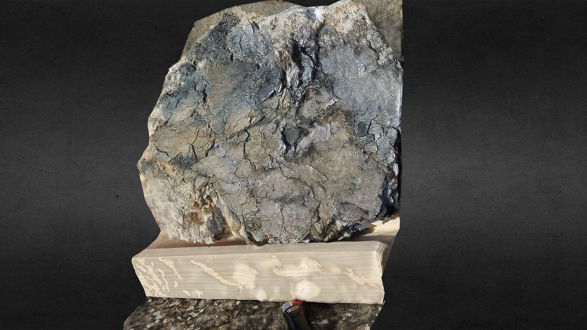 Zinnwaldite