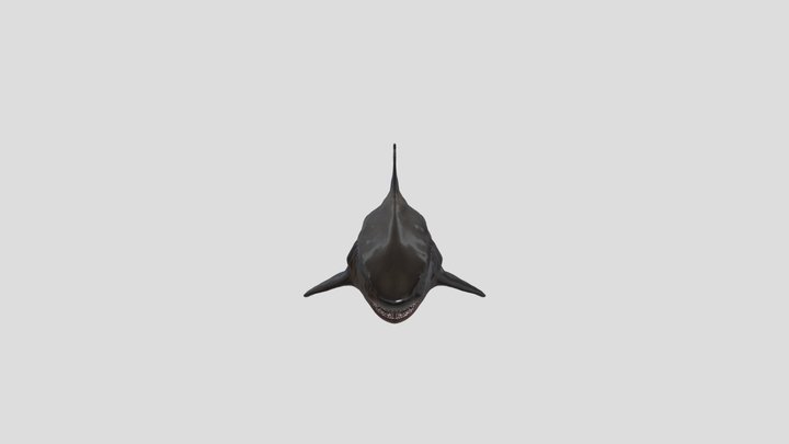 megalodon 3D Model