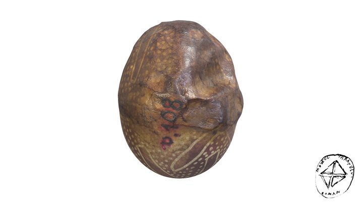 Decorated Egg