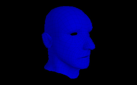 Head Retopology (Wireframe) 3D Model