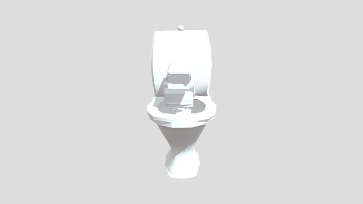 Camera Spy Toilet 3D Model