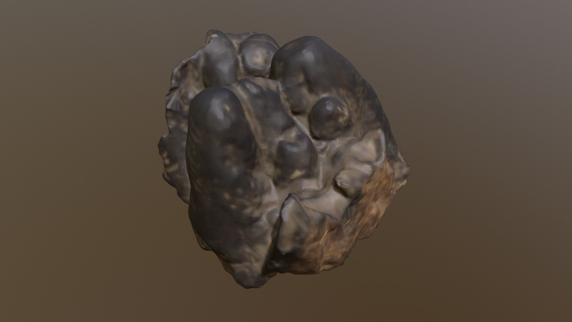 USNM V425 Mastodon Obscurus Molar (VCU_3D_3326)