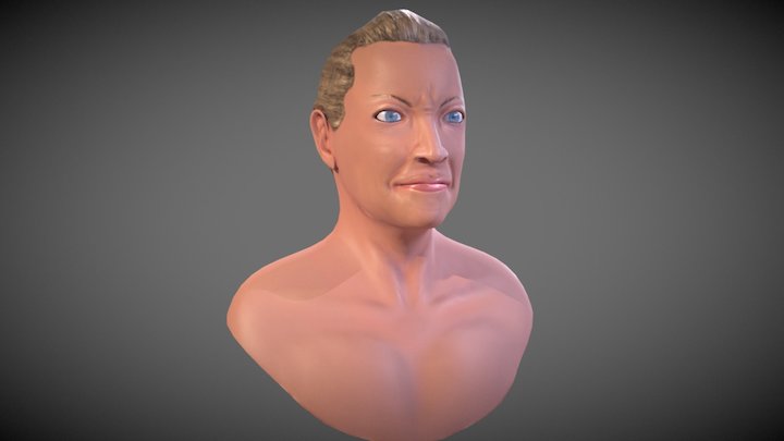 Likeness Bust 3D Model