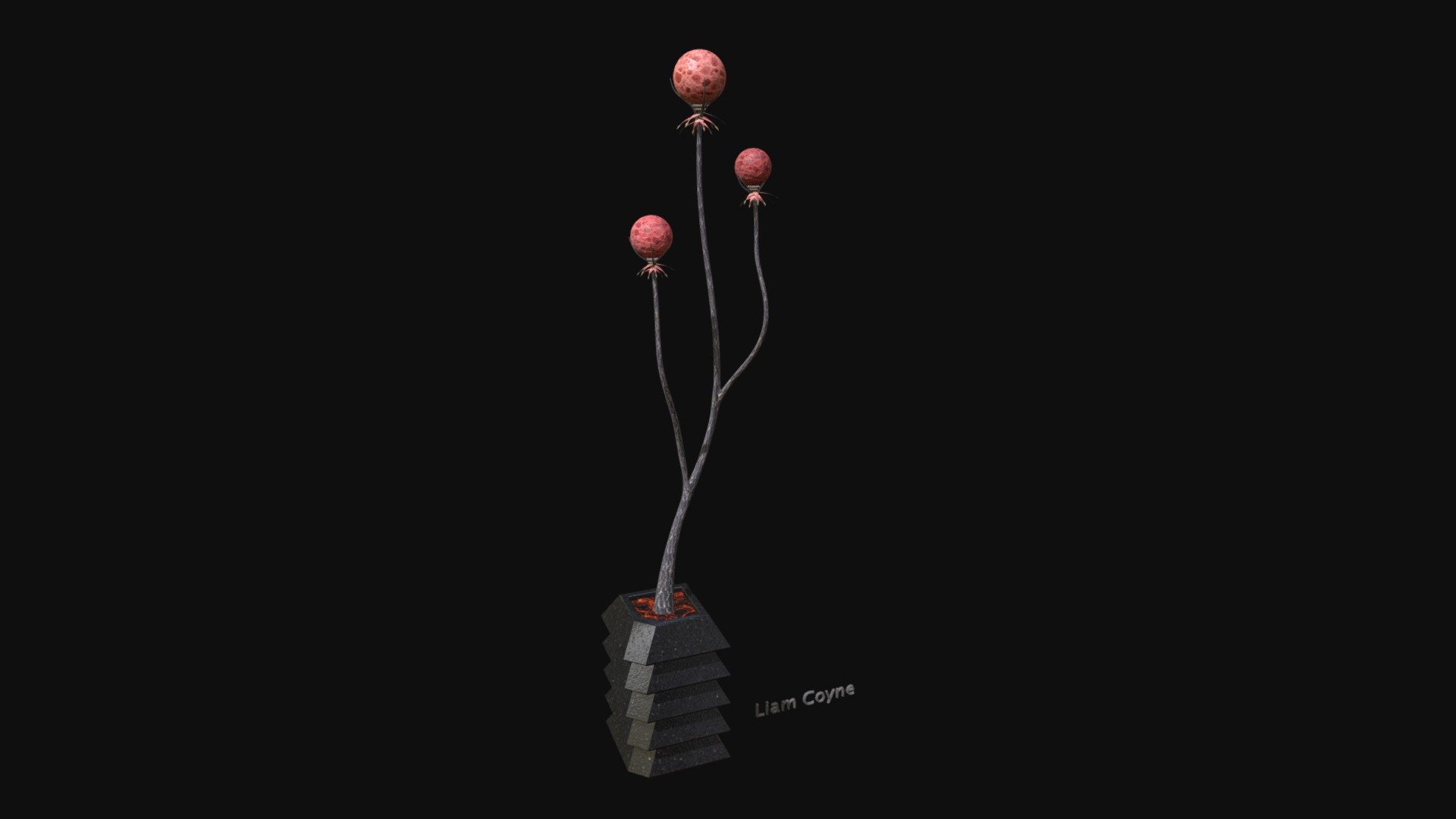 Volcanic Life