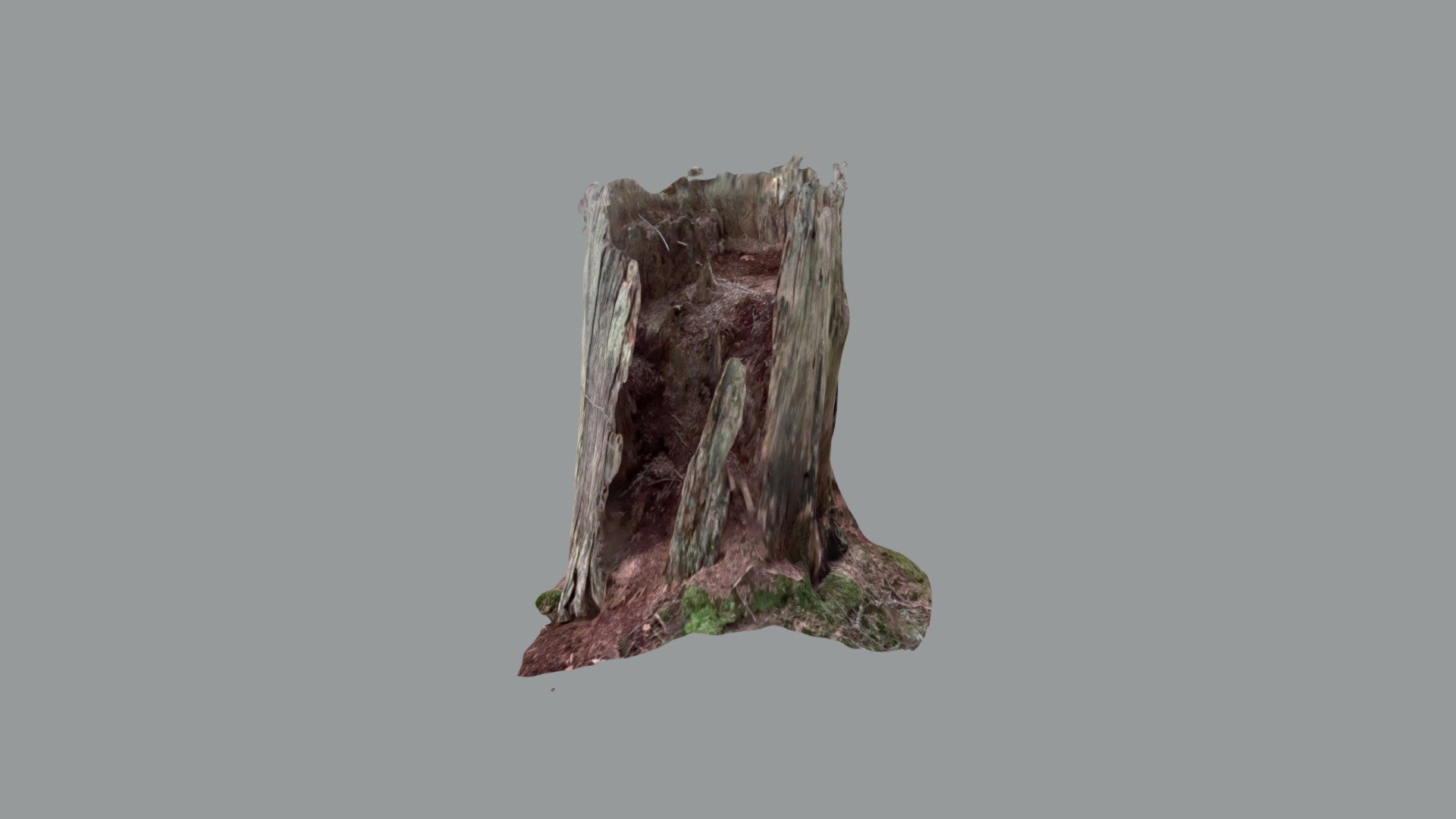 Kanto - stump  (Lidar)