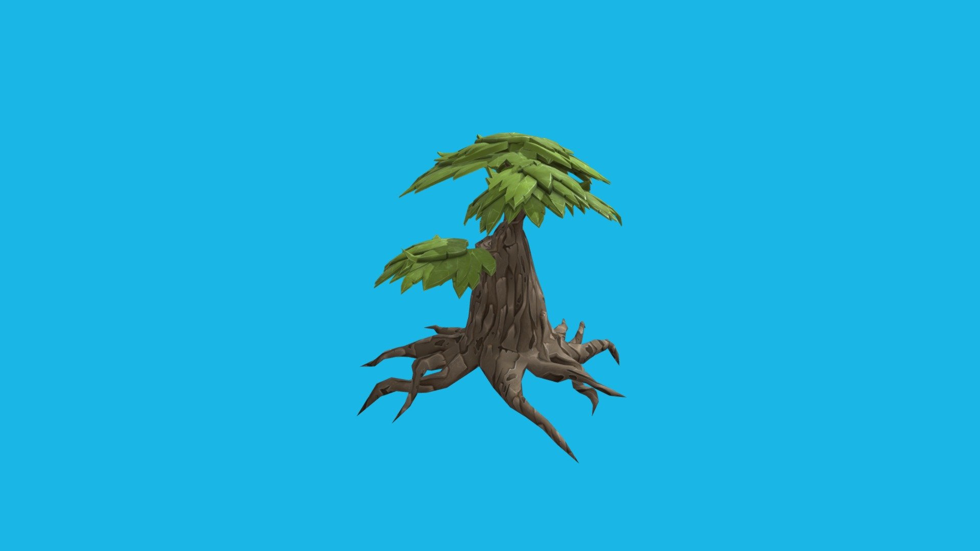 ALBERO