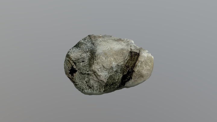Schist & Quartz 1 3D Model