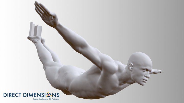 Swan Dive 34 Inches Wide 3D Model