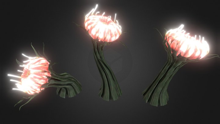 Grand Cotton Anemones – Modello 3D gratuito STL