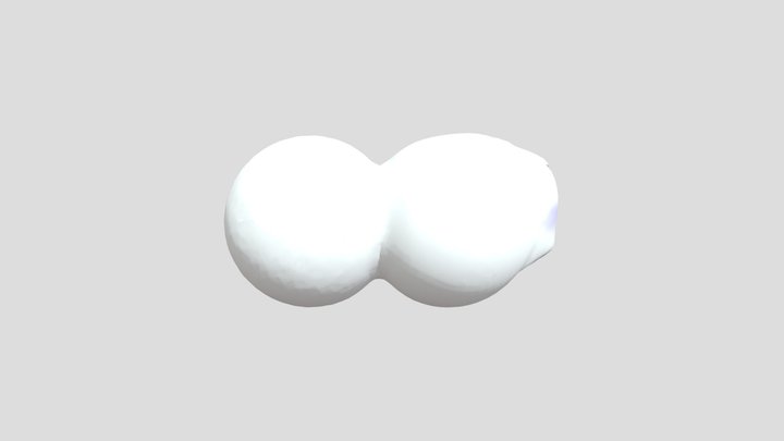Project 3D Model
