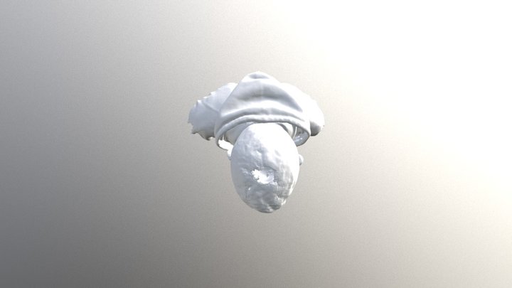 Jack 3D Model