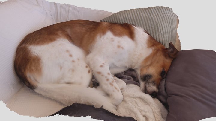 Martha in pillow fort 3D Model