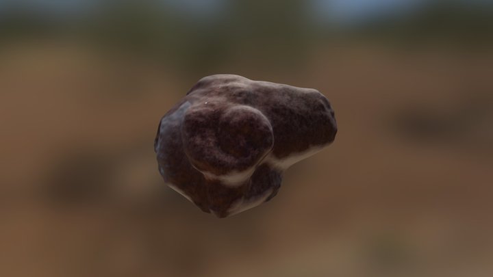 Tête de Bélier 3D Model