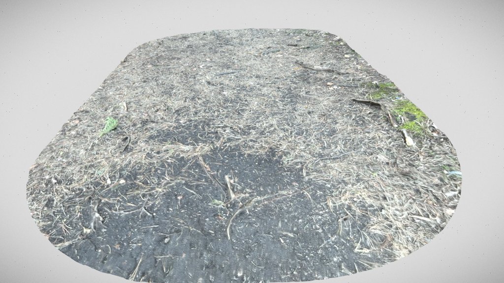 forest pathway scan
