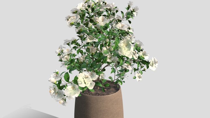 GL01 3D Model