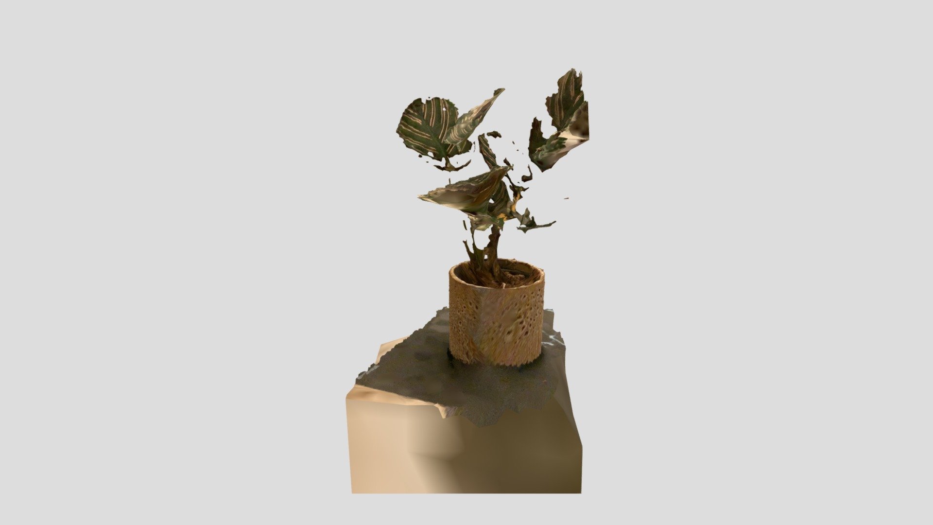 tstPlant_eins