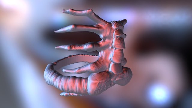 Facehugger Ring-3d Print 3D Model