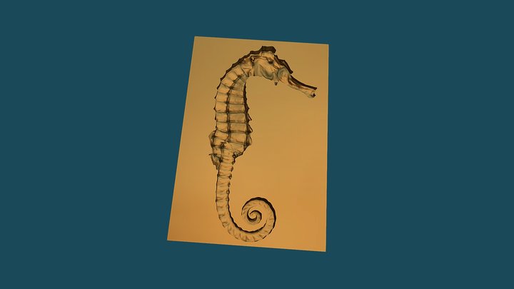 mAL 3D Model
