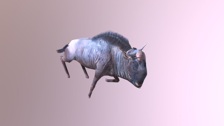 Wildebeest Run 3D Model