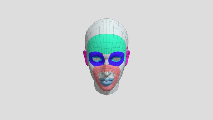 Topología Facial 3D Model