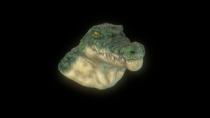 Humanoid Crocodile Head 3D Model
