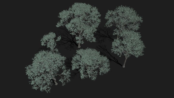 eucalypt-pack – Modelo 3D gratuito STL