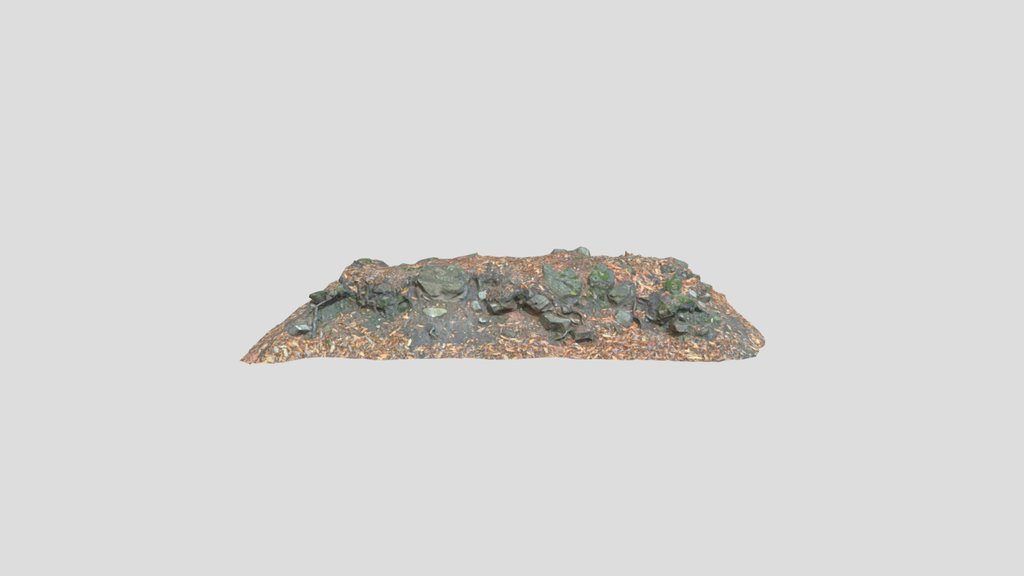 Rock Forest Ground