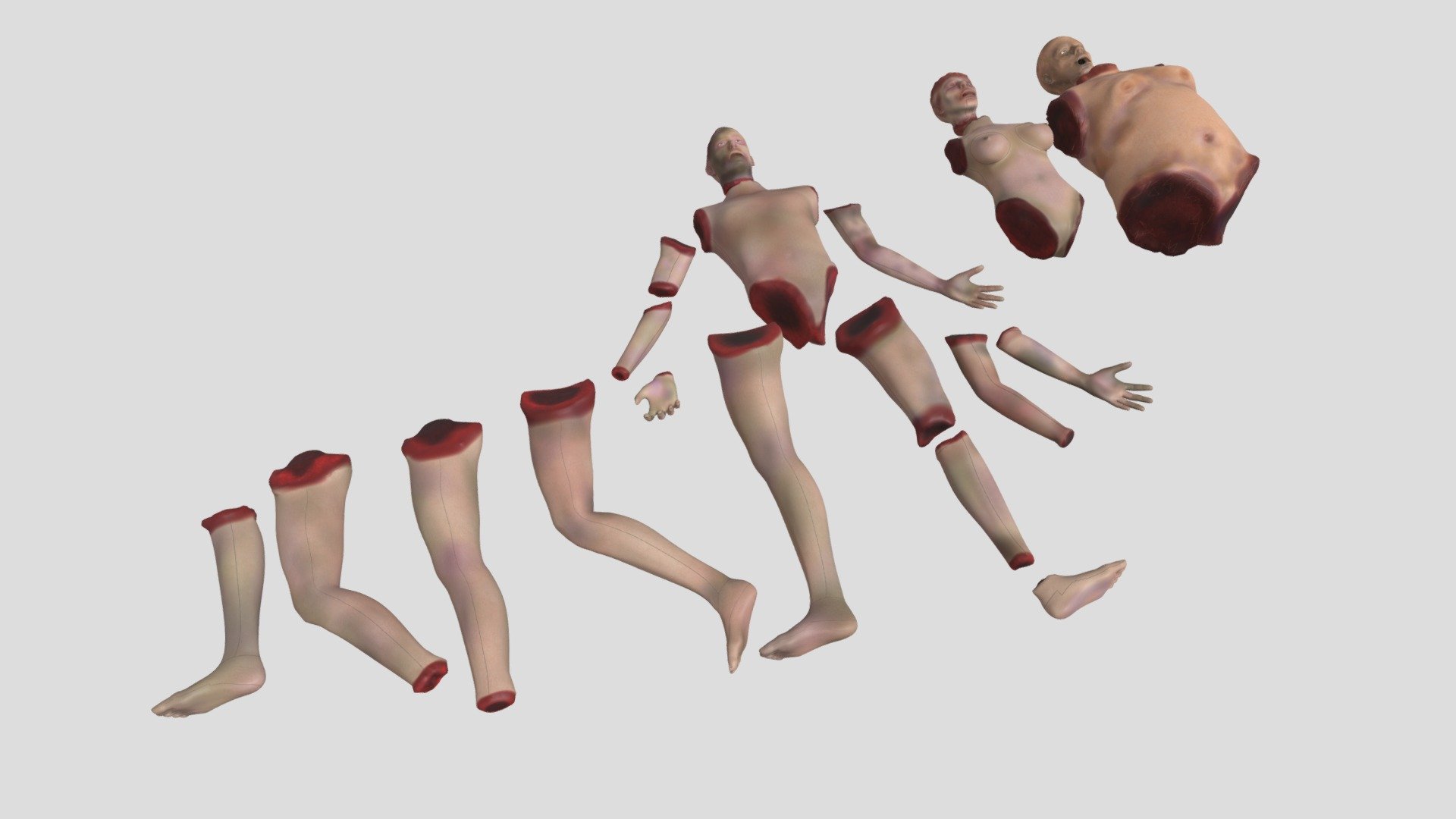 Body parts with textures - 3D model by kopofx [559fdab] - Sketchfab