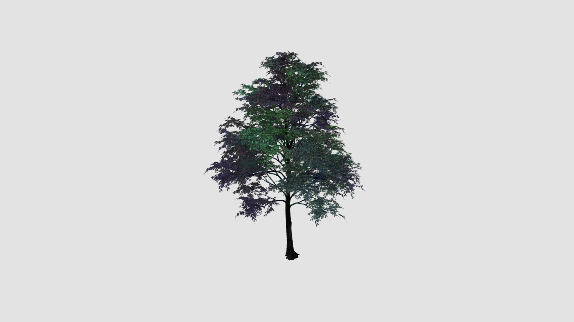 Tree - Buy Royalty Free 3D model by Evermotion [55a0083] - Sketchfab Store
