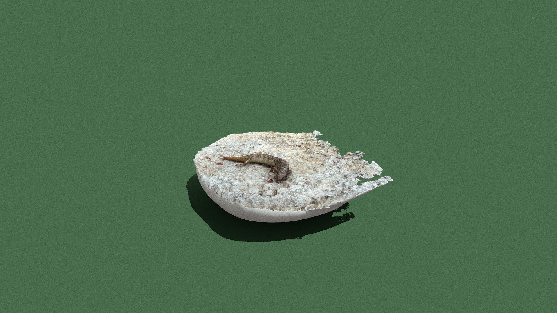 Lizard Model - 3D model by Alexplom [55a0ecb] - Sketchfab