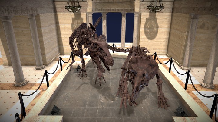 Natural History Museum 3D Model